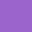 SHALLOW VIOLET