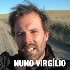 NUNO VIRGILIO